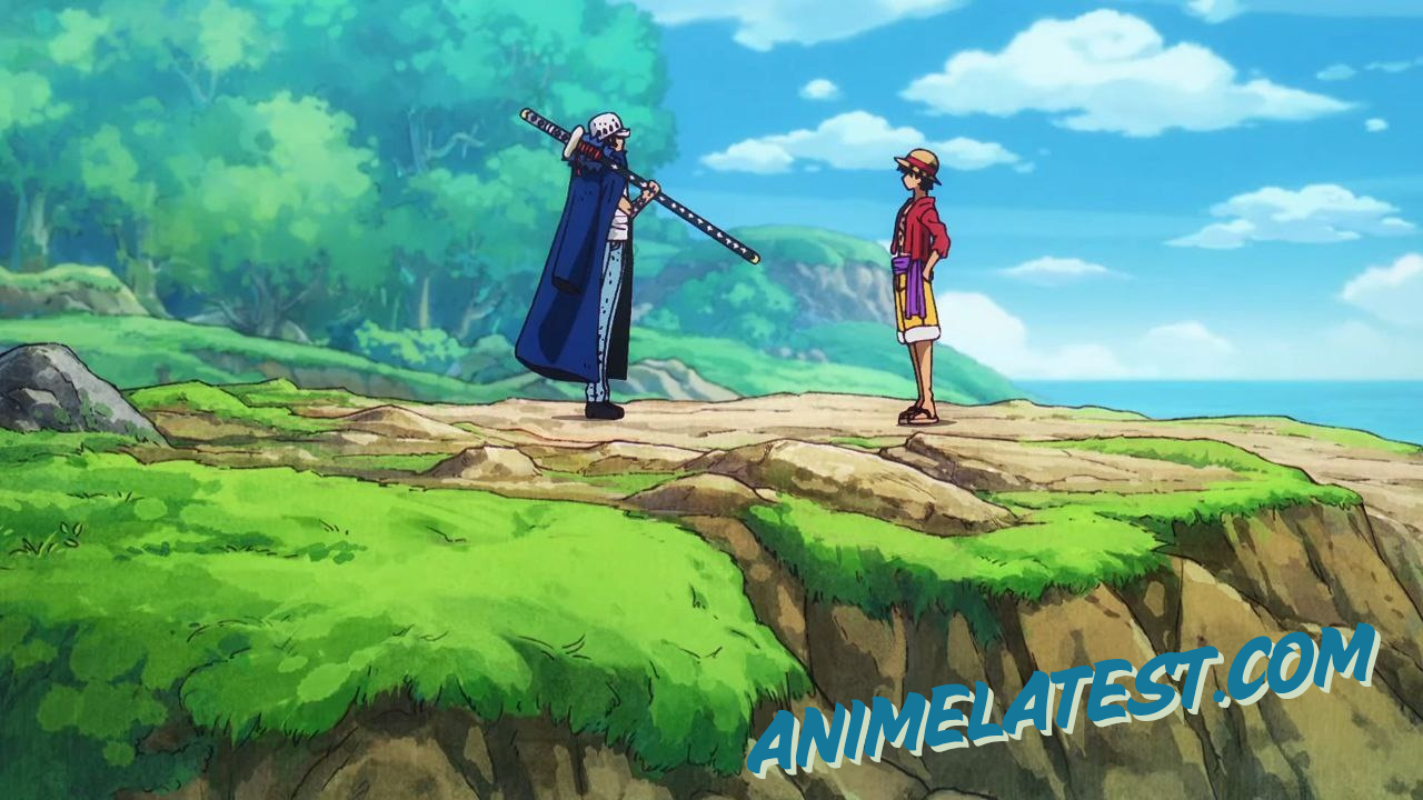 luffy and law facing each other