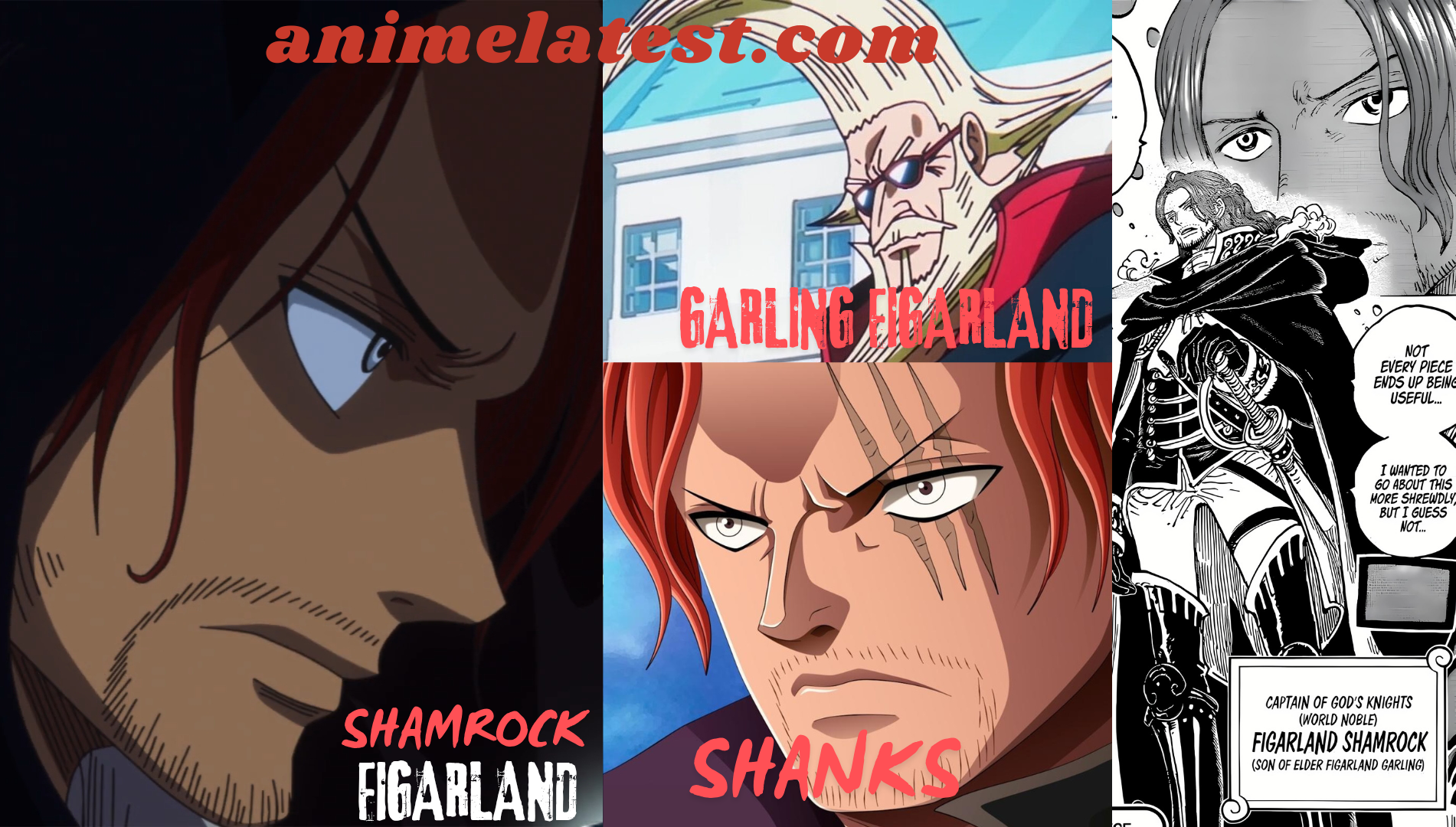 Shamrock Figarland: Shanks Twin, Mystery Revealed 1137