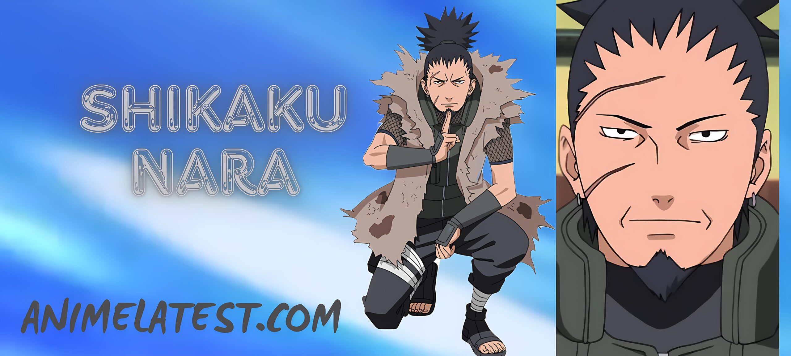 Shikaku Nara
Naruto Underrated Characters