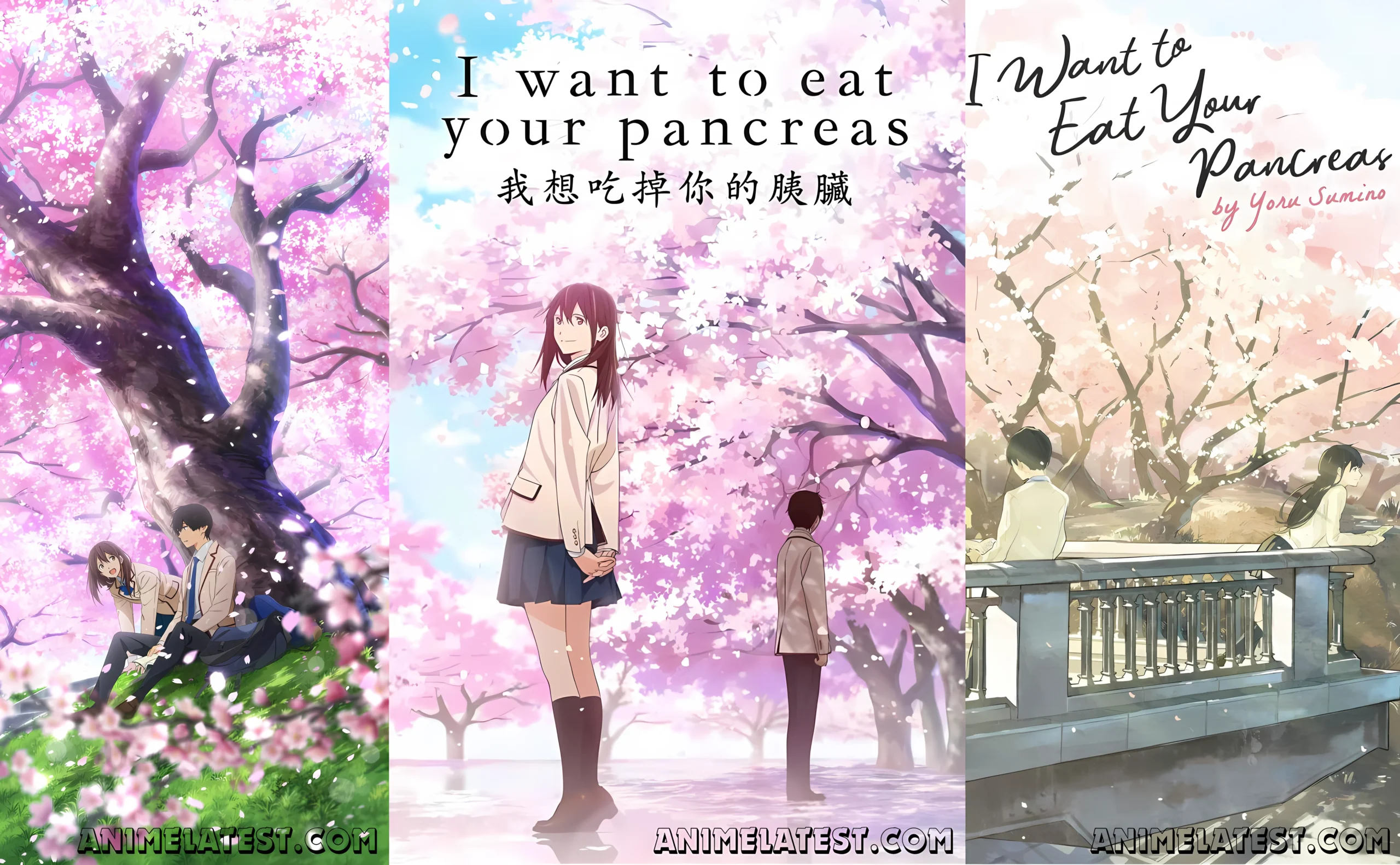 I Want to Eat Your Pancreas
