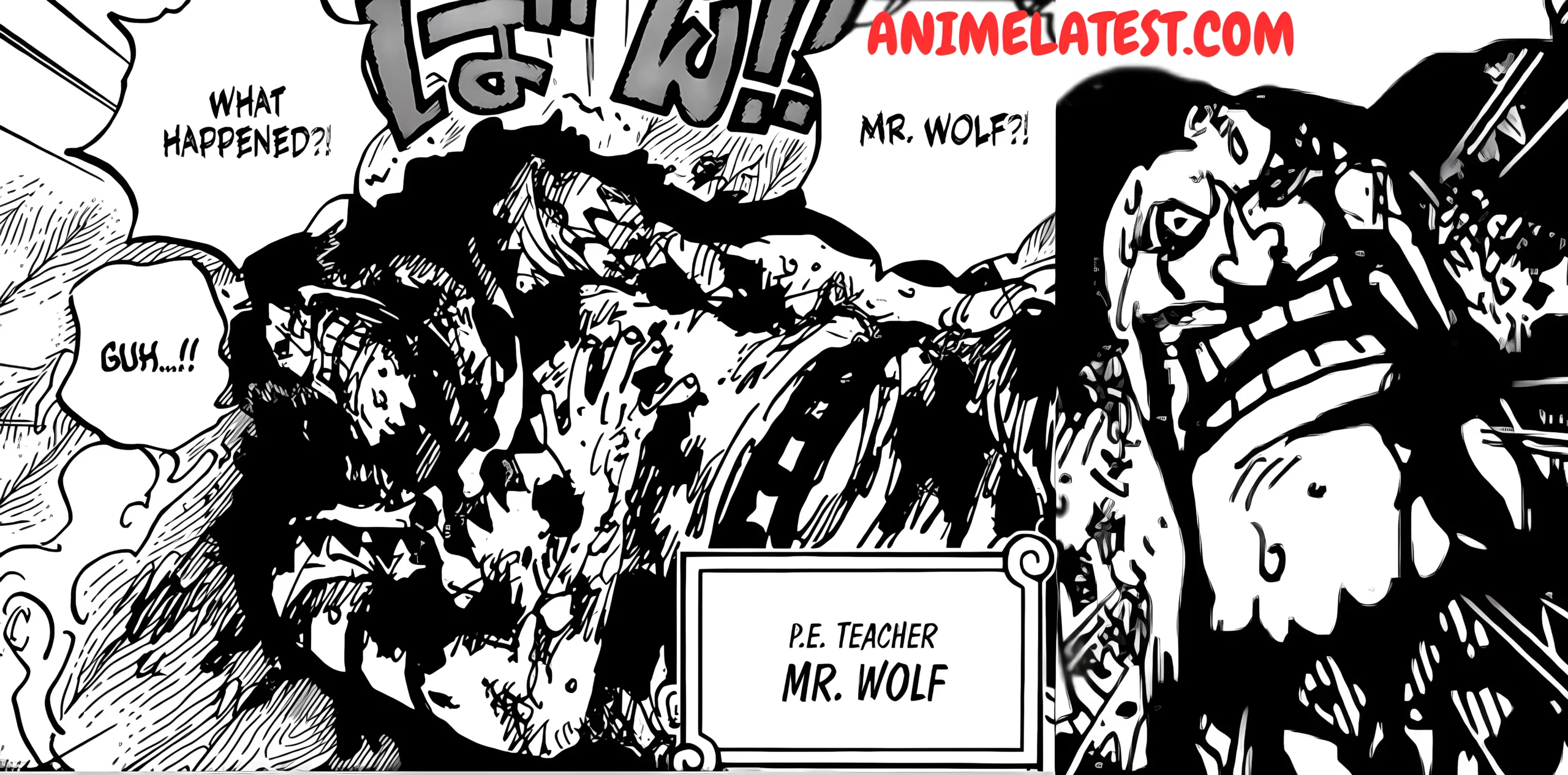 P.E Teacher Mr. Wolf found Injured